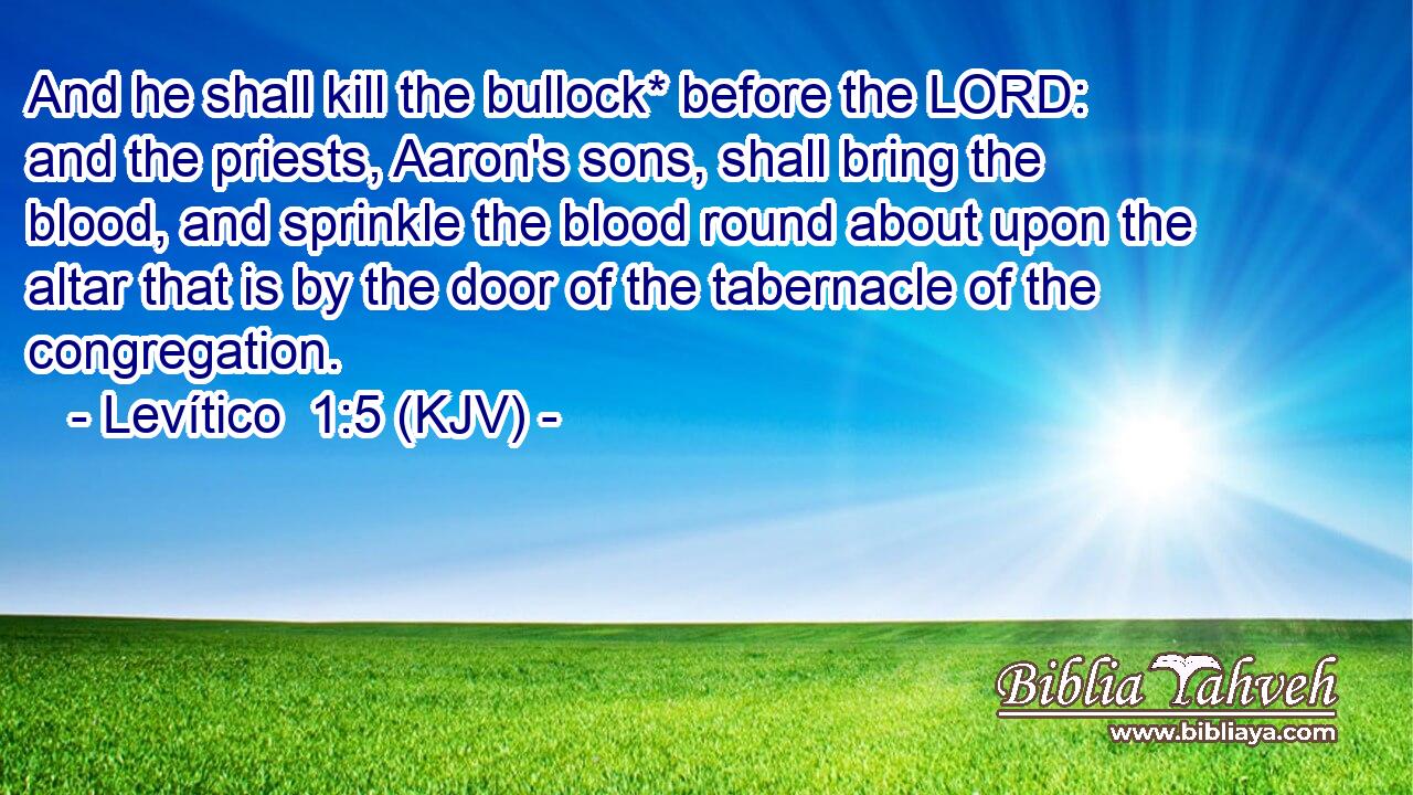 And he shall kill the bullock* before the LORD: and the priests, Aaron's sons, shall bring the blood, and sprinkle the blood round about upon the altar that is by the door of the tabernacle of the congregation.