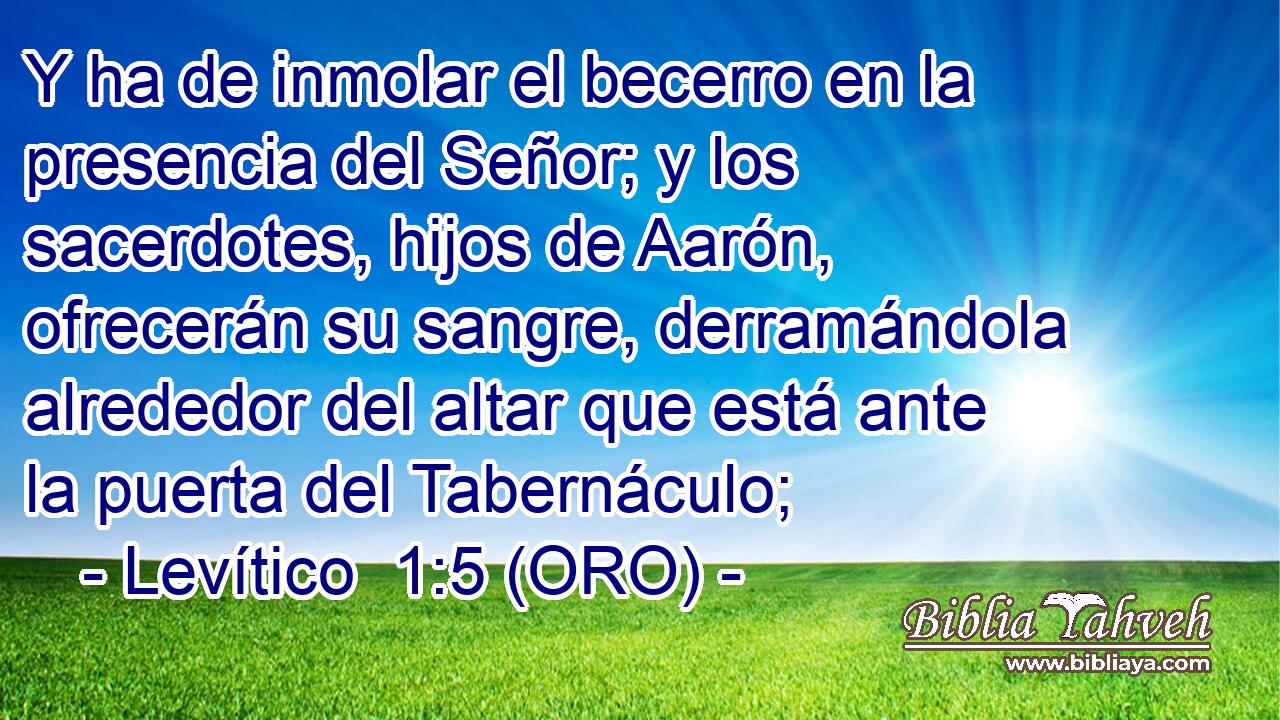  Y ha de inmolar el becerro en la presencia del Señor; y los sacerdotes, hijos de Aarón, ofrecerán su sangre, derramándola alrededor del altar que está ante la puerta del Tabernáculo; 