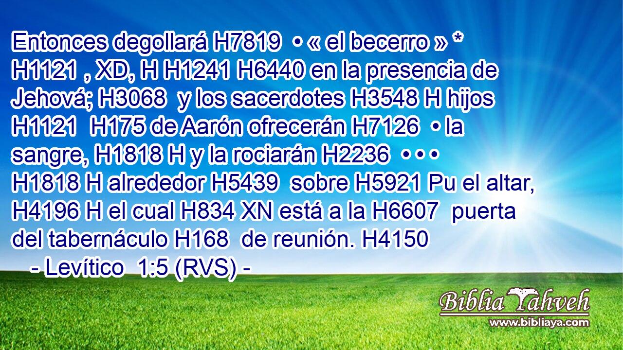 Entonces degollará H7819  • « el becerro » * H1121 , XD, H H1241 H6440 en la presencia de Jehová; H3068  y los sacerdotes H3548 H hijos H1121  H175 de Aarón ofrecerán H7126  • la sangre, H1818 H y la rociarán H2236  • • • H1818 H alrededor H5439  sobre H5921 Pu el altar, H4196 H el cual H834 XN está a la H6607  puerta del tabernáculo H168  de reunión. H4150  