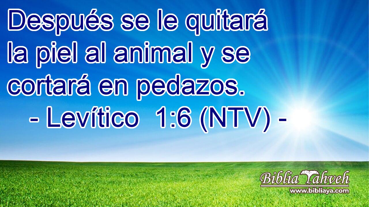 Después se le quitará la piel al animal y se cortará en pedazos.