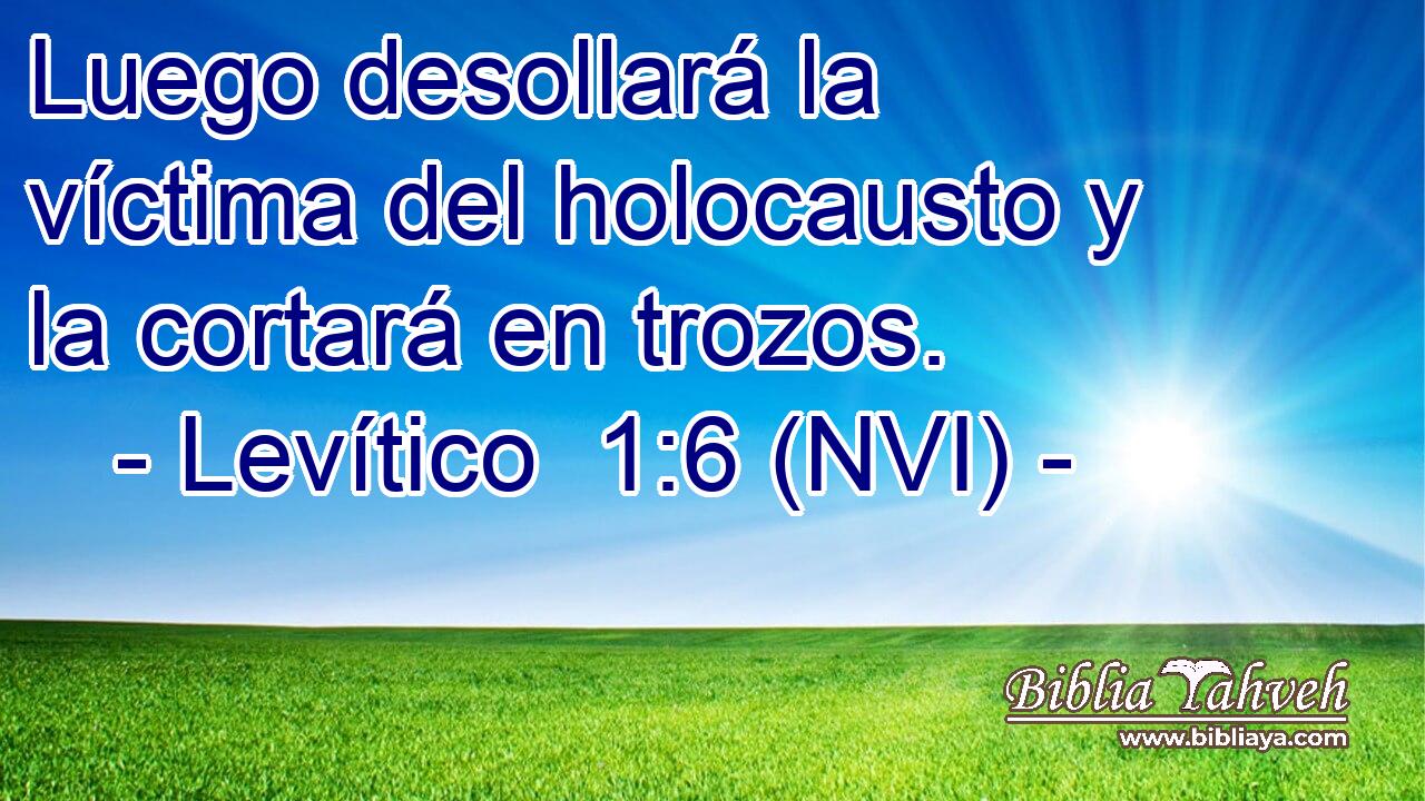  Luego desollará la víctima del holocausto y la cortará en trozos. 