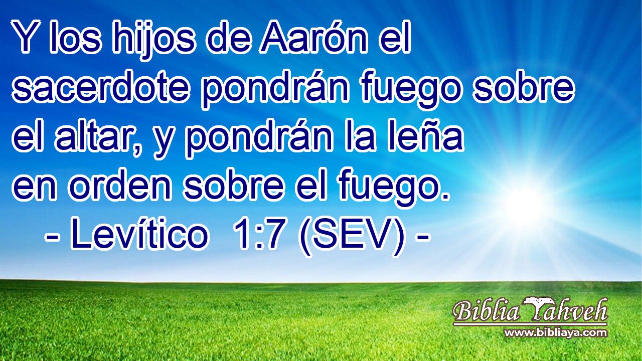 Y los hijos de Aarón el sacerdote pondrán fuego sobre el altar, y pondrán la leña en orden sobre el fuego.