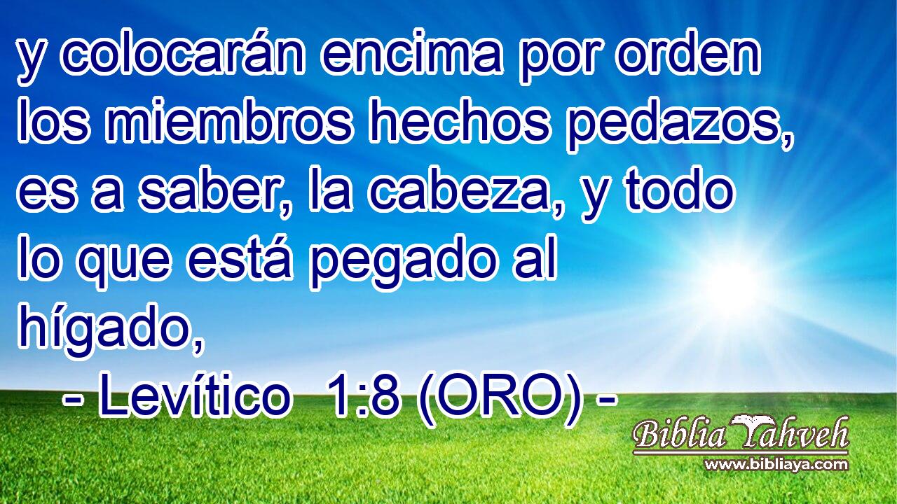  y colocarán encima por orden los miembros hechos pedazos, es a saber, la cabeza, y todo lo que está pegado al hígado, 