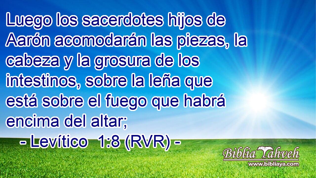 Luego los sacerdotes hijos de Aarón acomodarán las piezas, la cabeza y la grosura de los intestinos, sobre la leña que está sobre el fuego que habrá encima del altar;