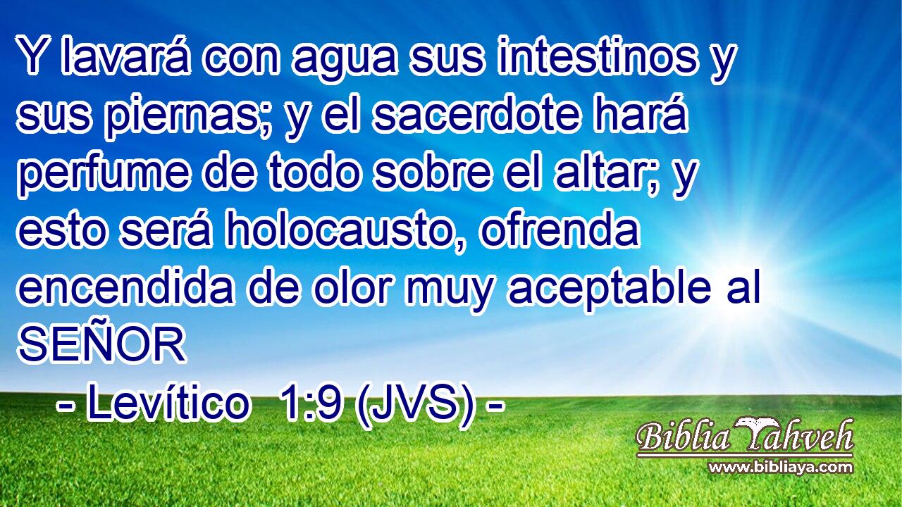 Y lavará con agua sus intestinos y sus piernas; y el sacerdote hará perfume de todo sobre el altar; y esto será holocausto, ofrenda encendida de olor muy aceptable al SEÑOR