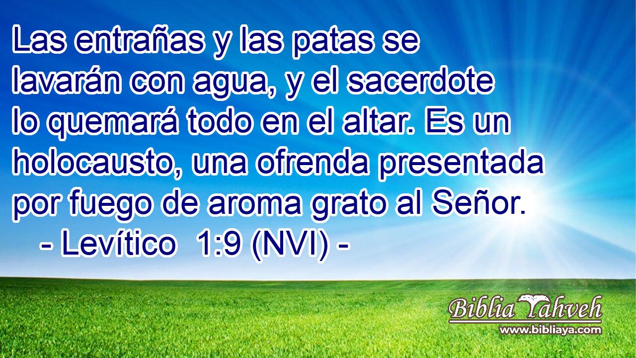  Las entrañas y las patas se lavarán con agua, y el sacerdote lo quemará todo en el altar. Es un holocausto, una ofrenda presentada por fuego de aroma grato al Señor. 