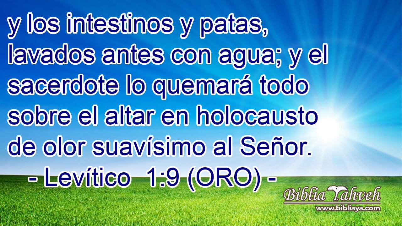  y los intestinos y patas, lavados antes con agua; y el sacerdote lo quemará todo sobre el altar en holocausto de olor suavísimo al Señor. 