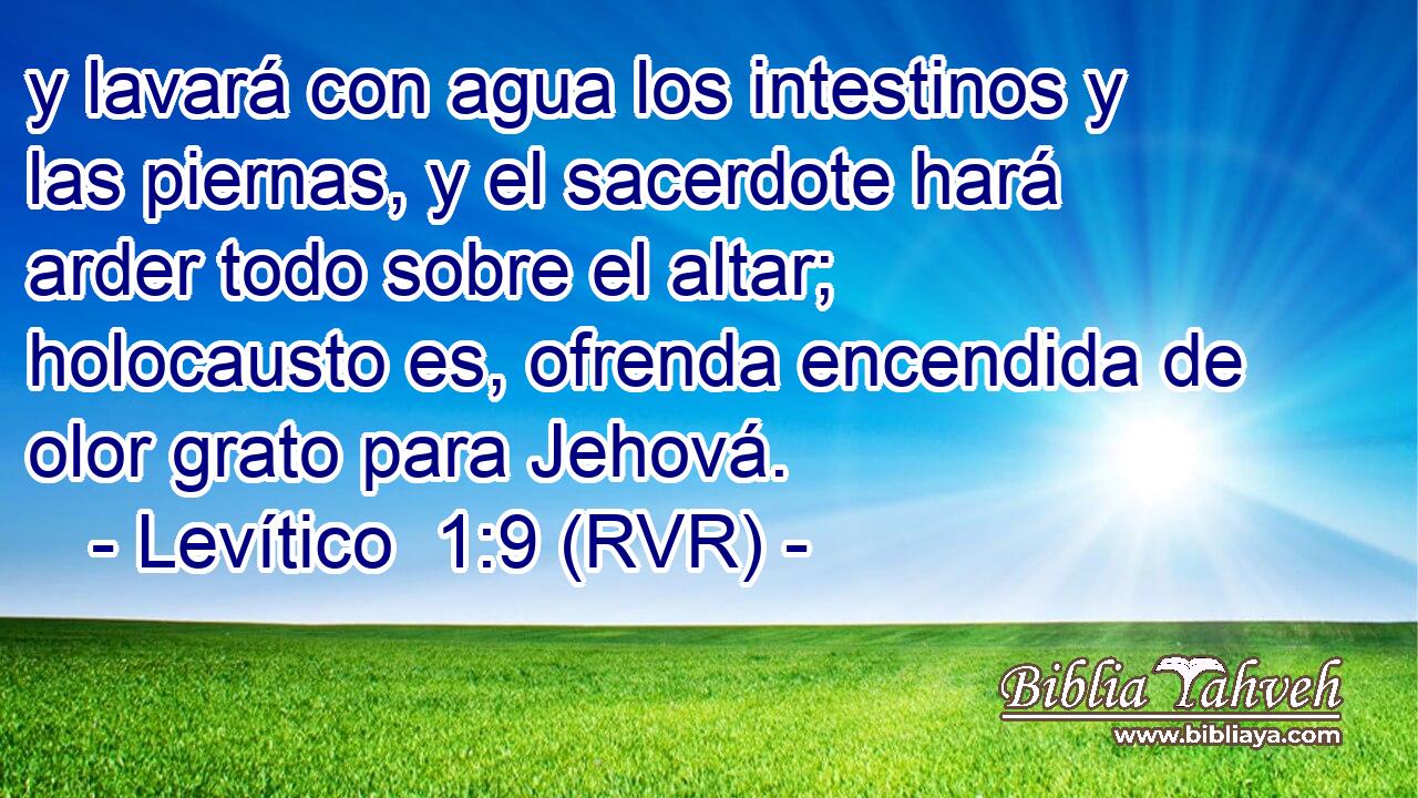 y lavará con agua los intestinos y las piernas, y el sacerdote hará arder todo sobre el altar; holocausto es, ofrenda encendida de olor grato para Jehová.