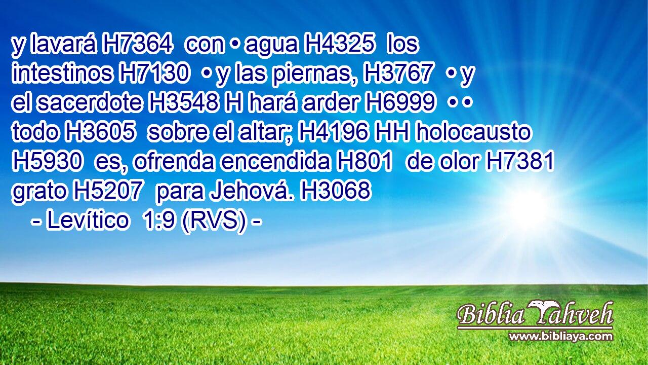 y lavará H7364  con • agua H4325  los intestinos H7130  • y las piernas, H3767  • y el sacerdote H3548 H hará arder H6999  • • todo H3605  sobre el altar; H4196 HH holocausto H5930  es, ofrenda encendida H801  de olor H7381  grato H5207  para Jehová. H3068  