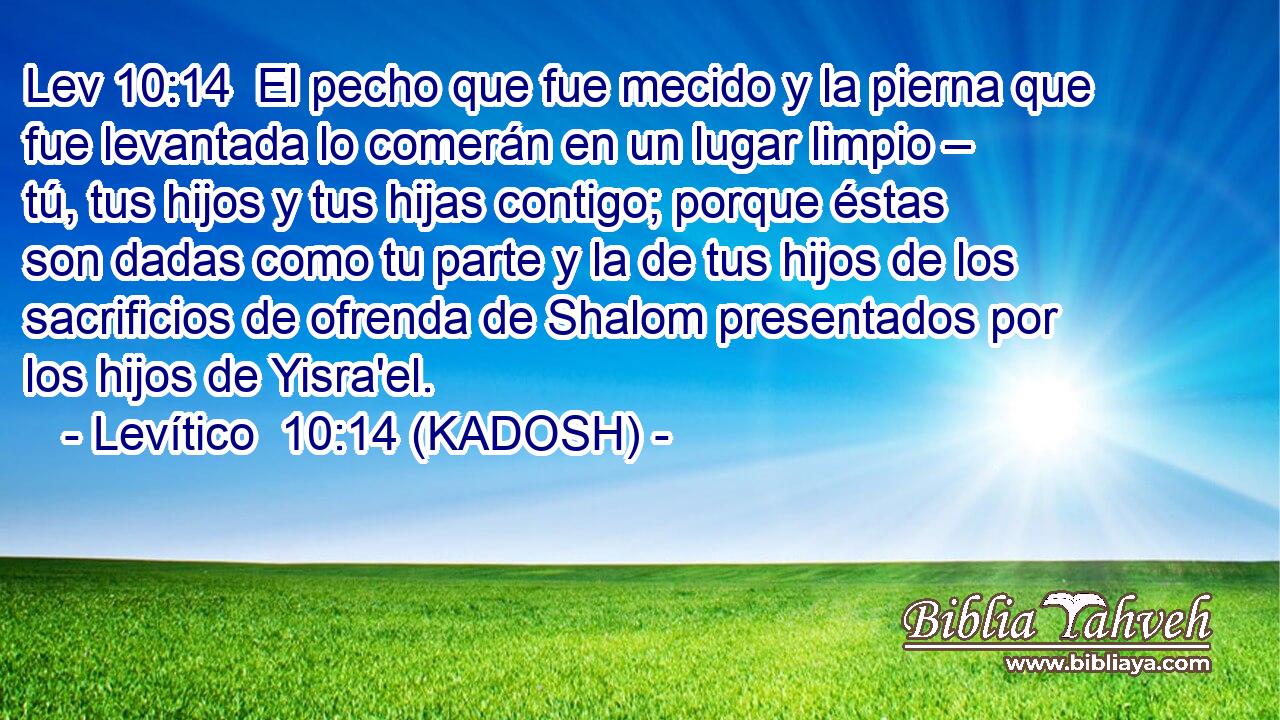  El pecho que fue mecido y la pierna que fue levantada lo comerán en un lugar limpio – tú, tus hijos y tus hijas contigo; porque éstas son dadas como tu parte y la de tus hijos de los sacrificios de ofrenda de Shalom presentados por los hijos de Yisra'el. 