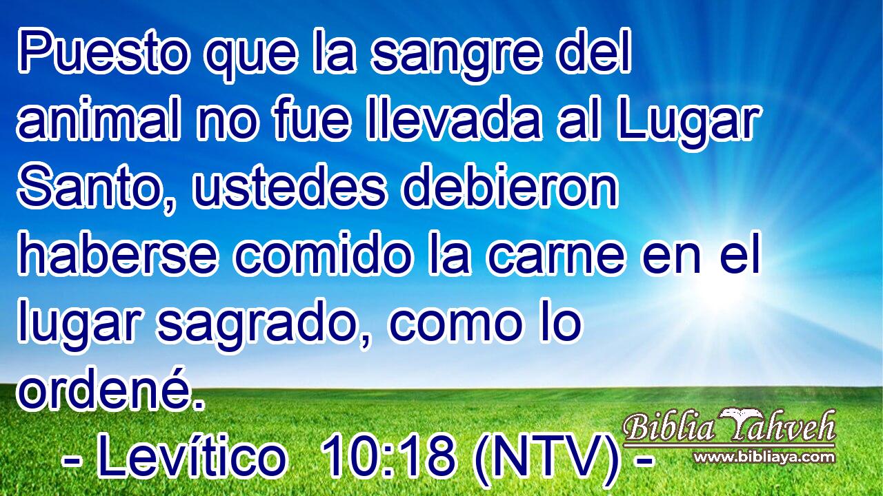 Puesto que la sangre del animal no fue llevada al Lugar Santo, ustedes debieron haberse comido la carne en el lugar sagrado, como lo ordené.