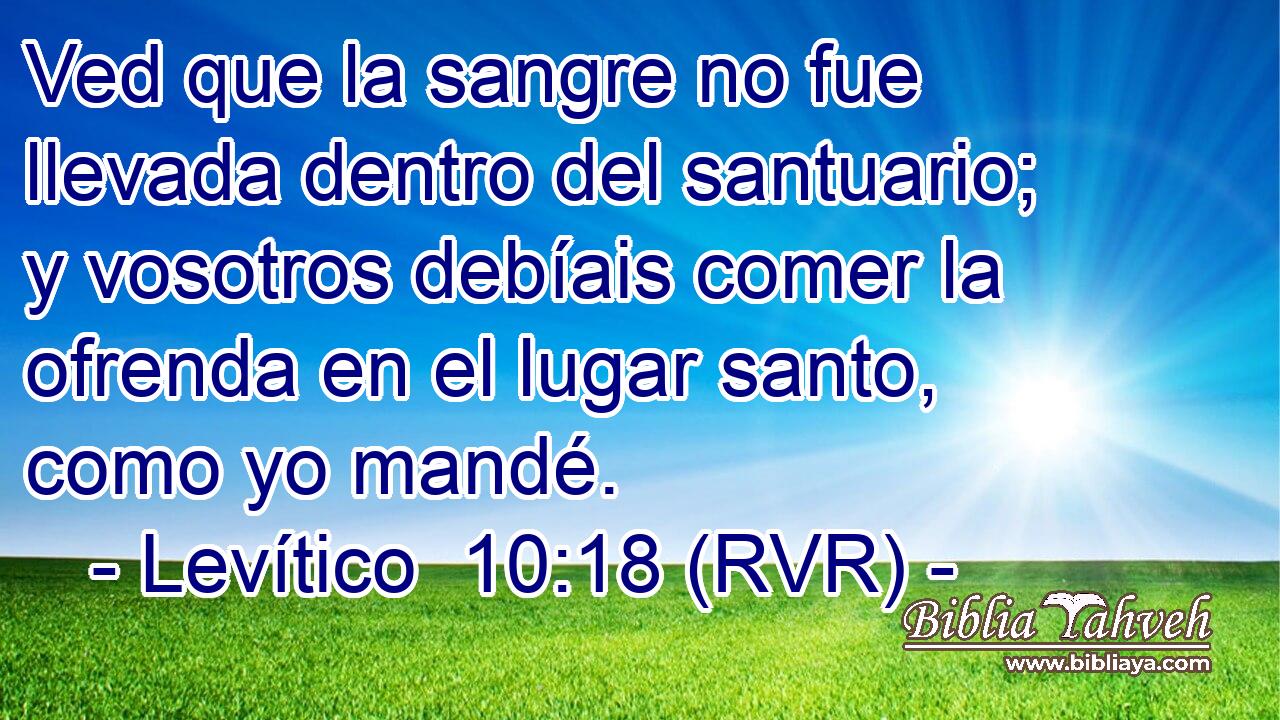Ved que la sangre no fue llevada dentro del santuario; y vosotros debíais comer la ofrenda en el lugar santo, como yo mandé.