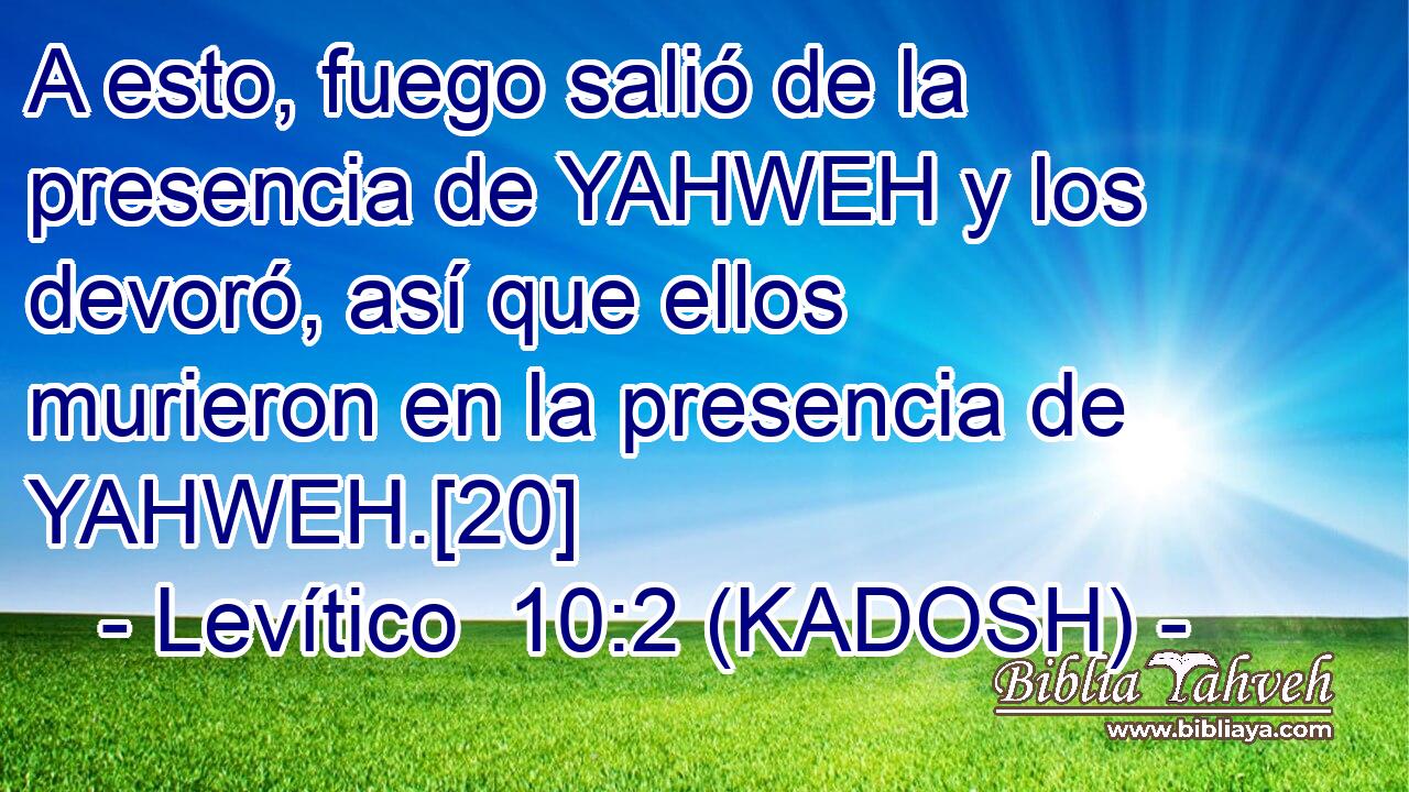  A esto, fuego salió de la presencia de YAHWEH y los devoró, así que ellos murieron en la presencia de YAHWEH.[20] 