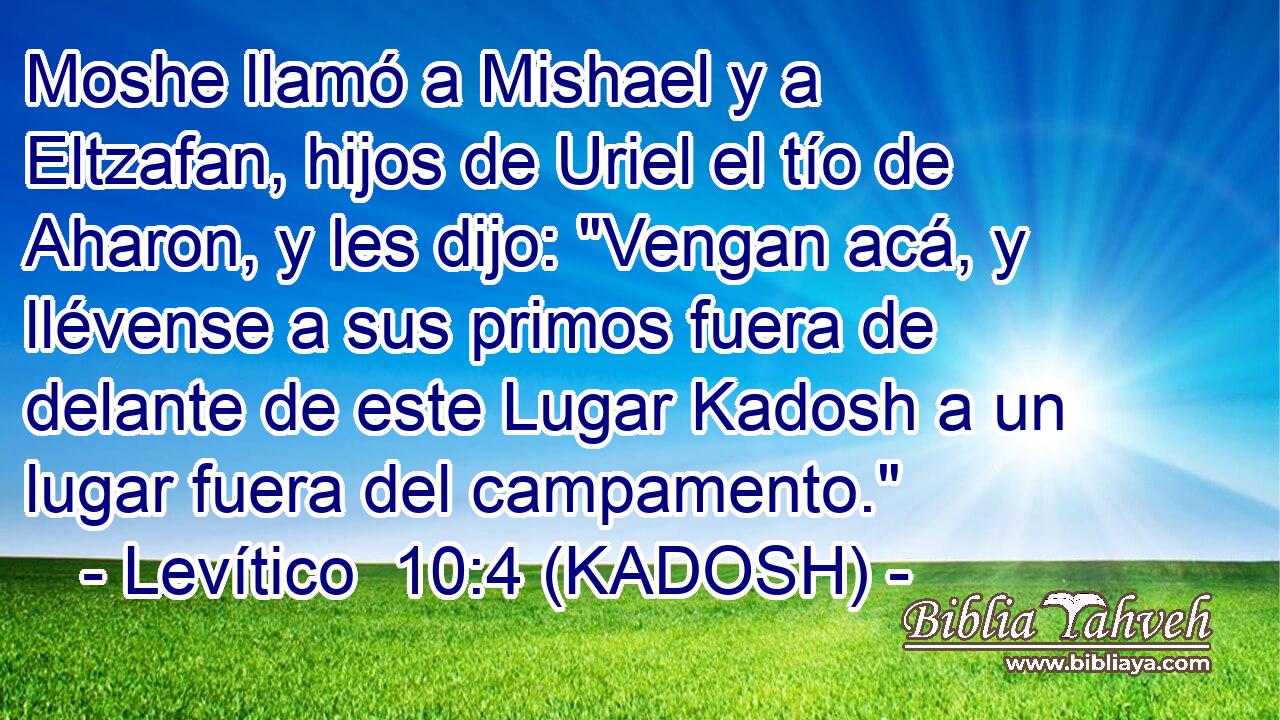  Moshe llamó a Mishael y a Eltzafan, hijos de Uriel el tío de Aharon, y les dijo: 