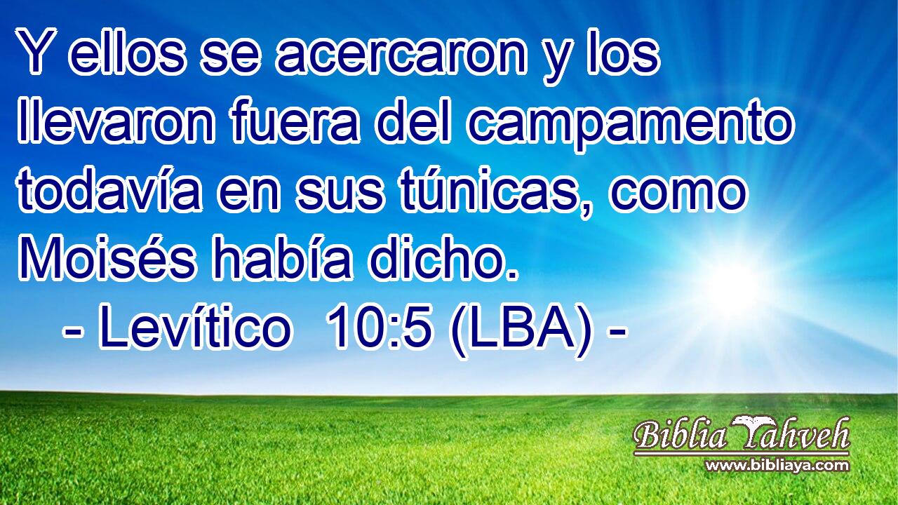 Y ellos se acercaron y los llevaron fuera del campamento todavía en sus túnicas, como Moisés había dicho.