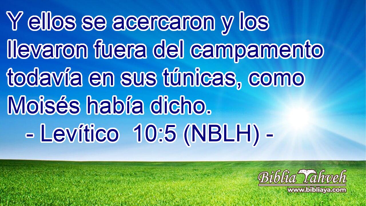  Y ellos se acercaron y los llevaron fuera del campamento todavía en sus túnicas, como Moisés había dicho. 