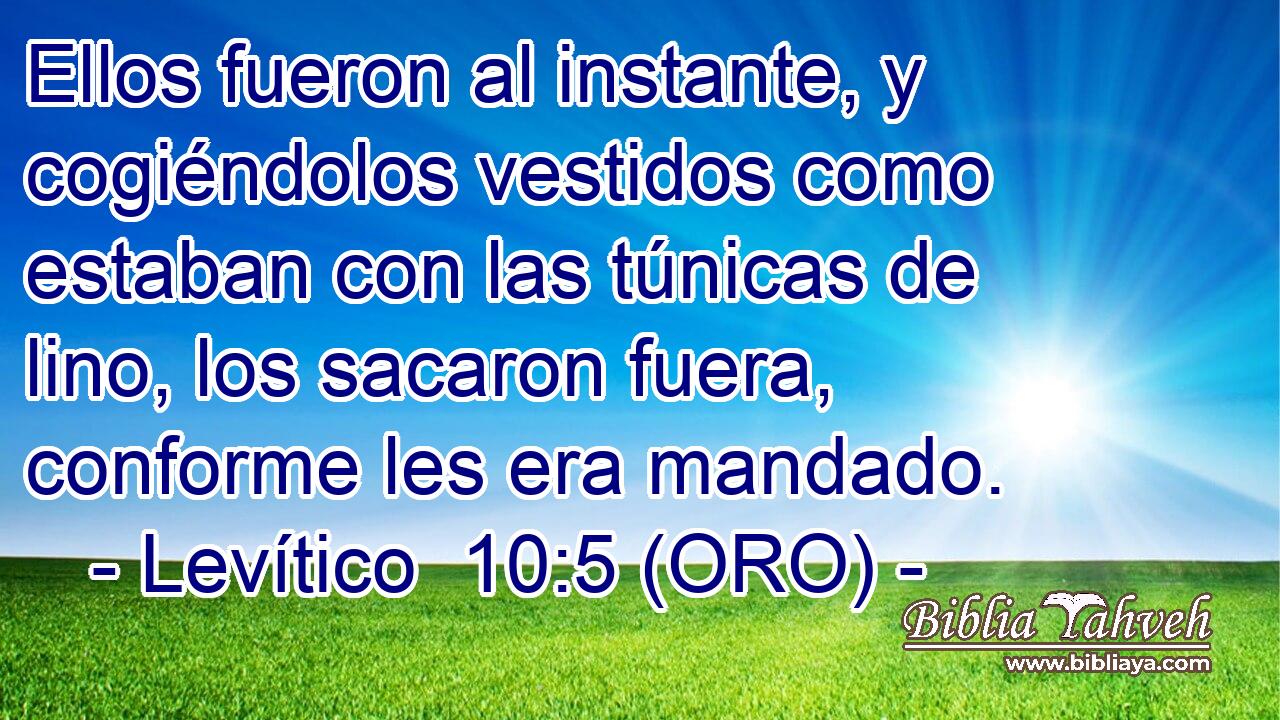  Ellos fueron al instante, y cogiéndolos vestidos como estaban con las túnicas de lino, los sacaron fuera, conforme les era mandado. 