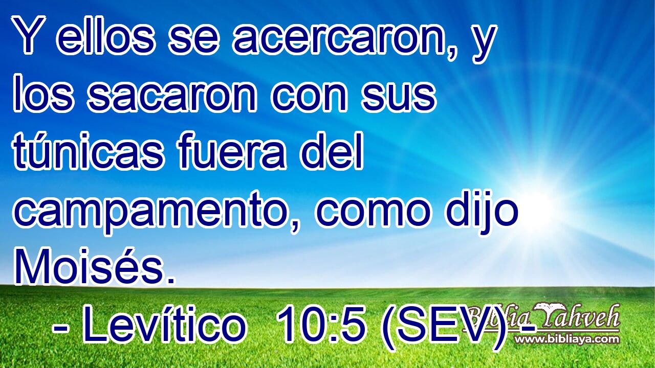 Y ellos se acercaron, y los sacaron con sus túnicas fuera del campamento, como dijo Moisés.