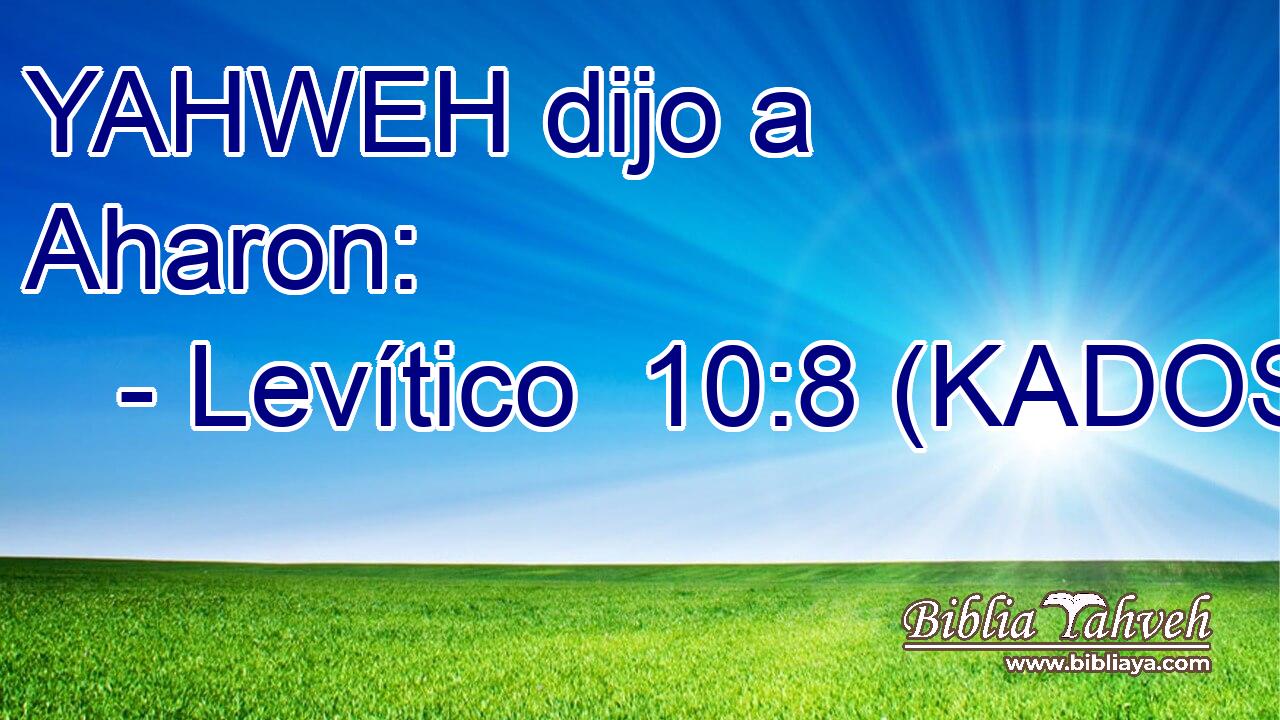  YAHWEH dijo a Aharon: 