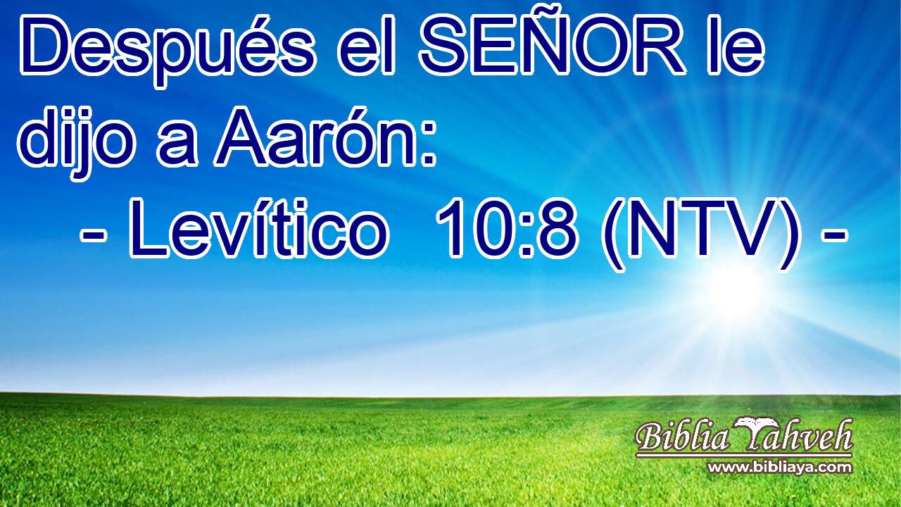 Después el SEÑOR le dijo a Aarón: