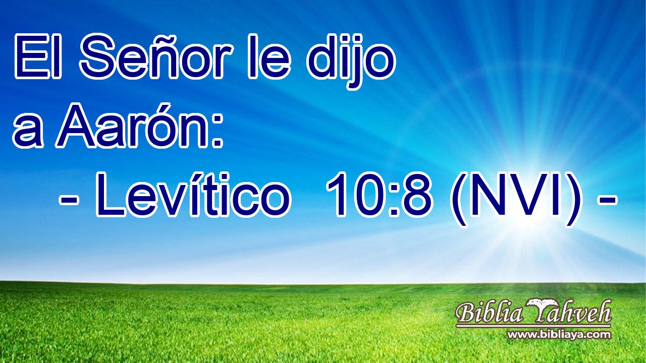 El Señor le dijo a Aarón: 
