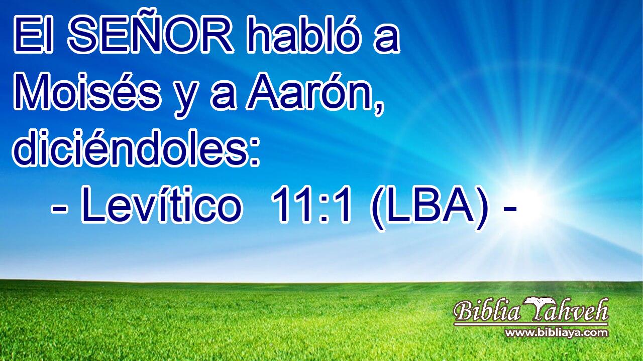 El SEÑOR habló a Moisés y a Aarón, diciéndoles: