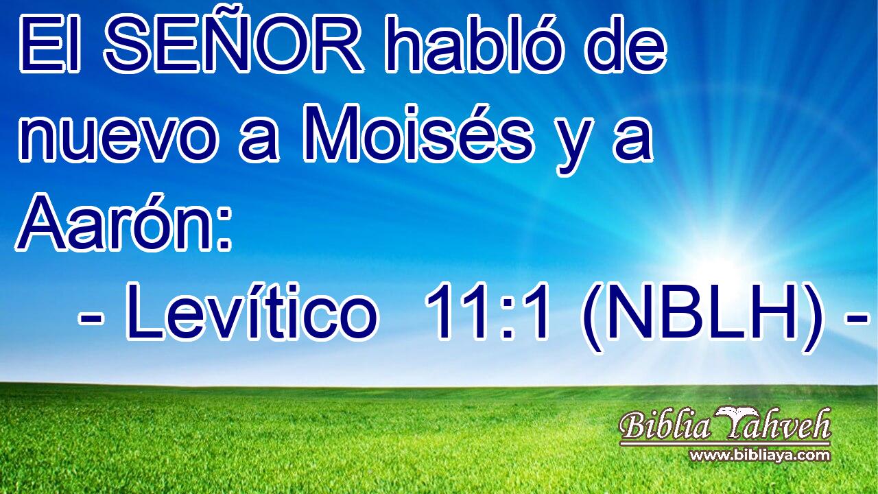  El SEÑOR habló de nuevo a Moisés y a Aarón: 