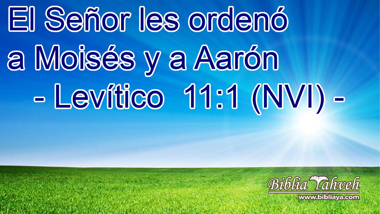  El Señor les ordenó a Moisés y a Aarón 