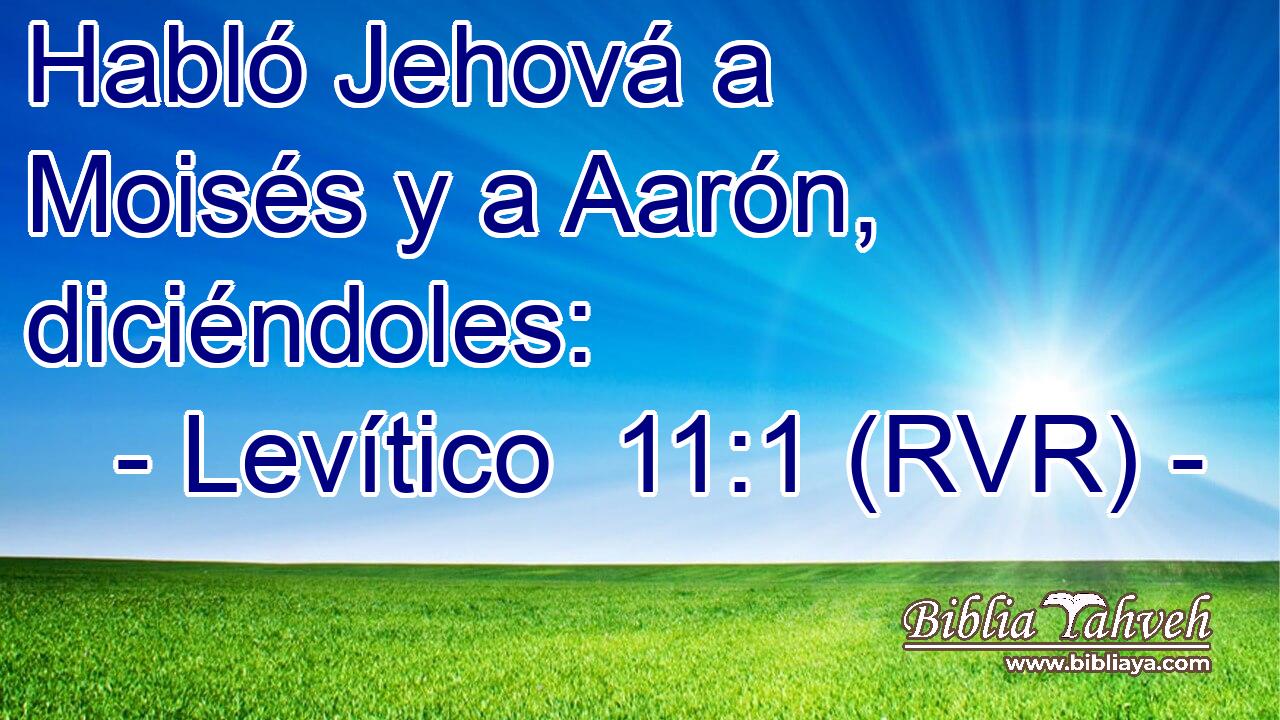Habló Jehová a Moisés y a Aarón, diciéndoles: