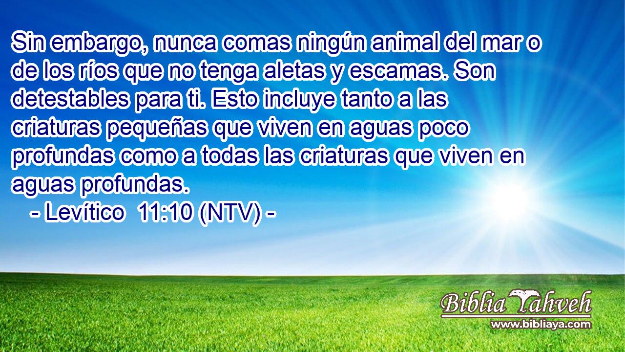 Sin embargo, nunca comas ningún animal del mar o de los ríos que no tenga aletas y escamas. Son detestables para ti. Esto incluye tanto a las criaturas pequeñas que viven en aguas poco profundas como a todas las criaturas que viven en aguas profundas.