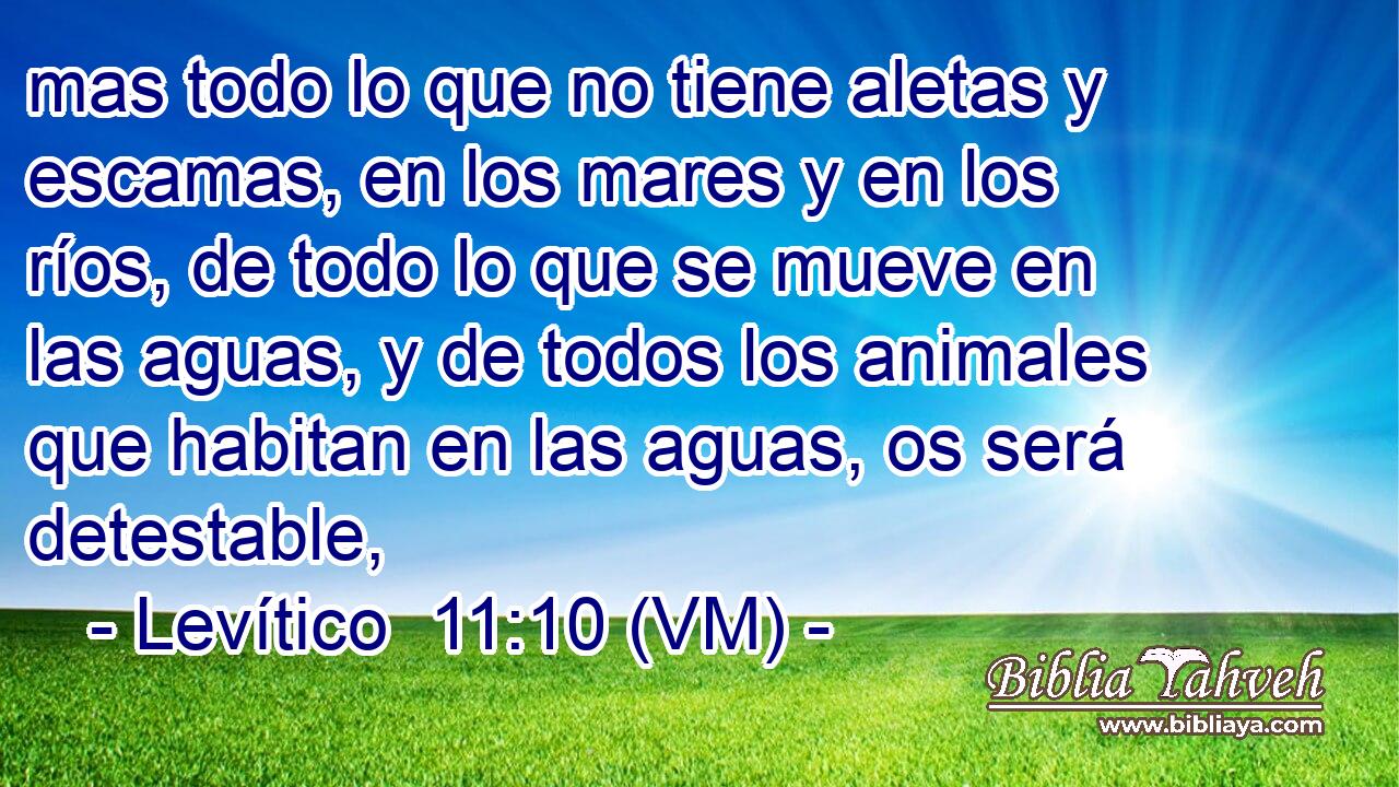  mas todo lo que no tiene aletas y escamas, en los mares y en los ríos, de todo lo que se mueve en las aguas, y de todos los animales que habitan en las aguas, os será detestable, 