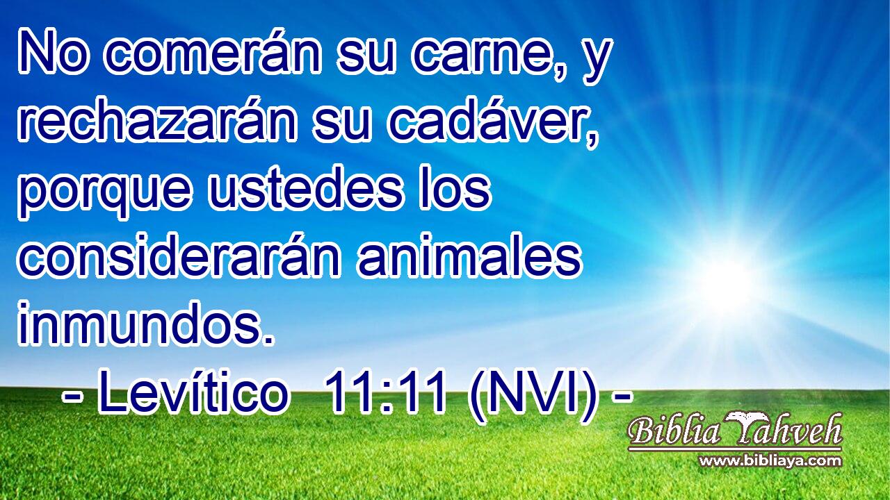  No comerán su carne, y rechazarán su cadáver, porque ustedes los considerarán animales inmundos. 