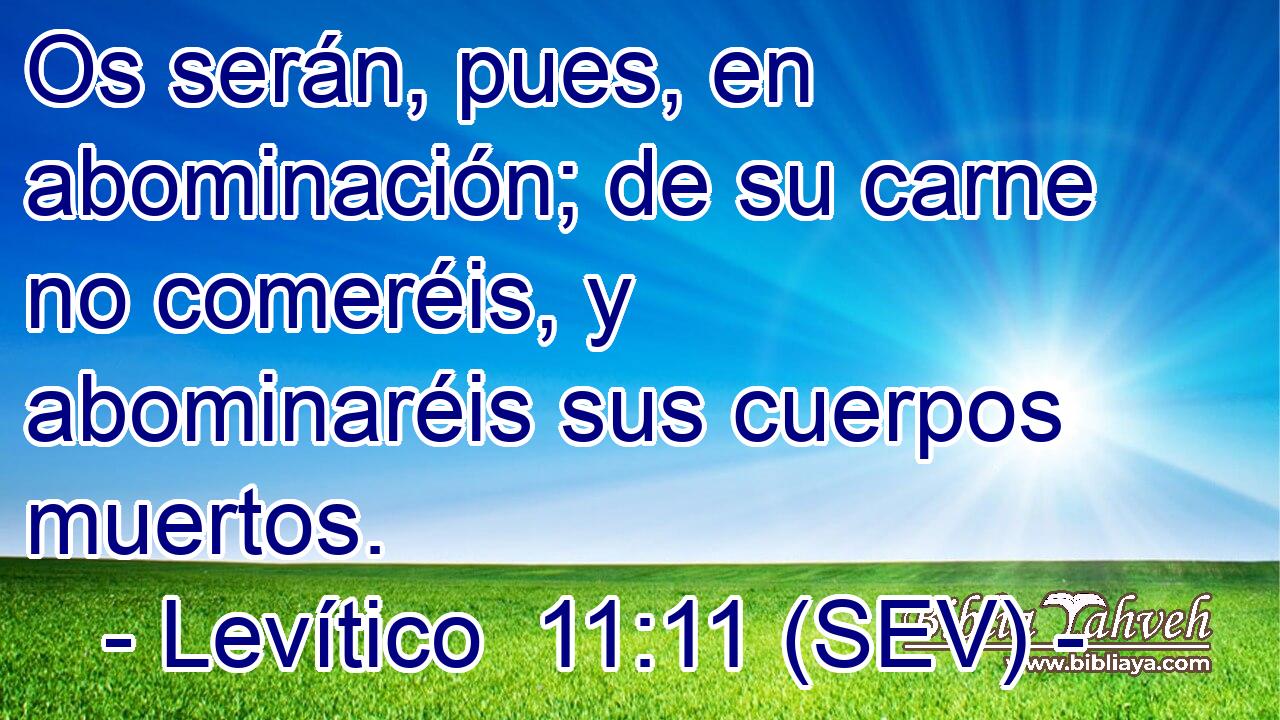 Os serán, pues, en abominación; de su carne no comeréis, y abominaréis sus cuerpos muertos.