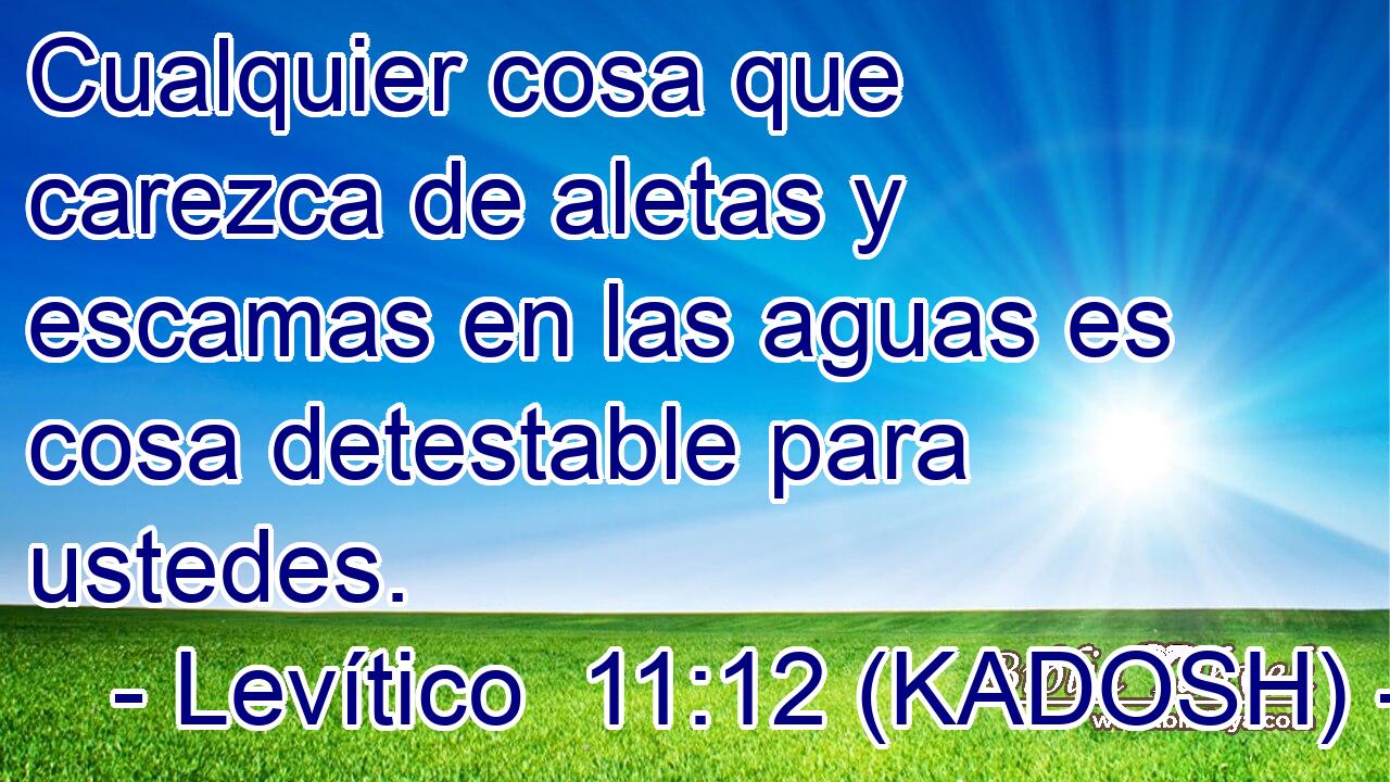  Cualquier cosa que carezca de aletas y escamas en las aguas es cosa detestable para ustedes. 