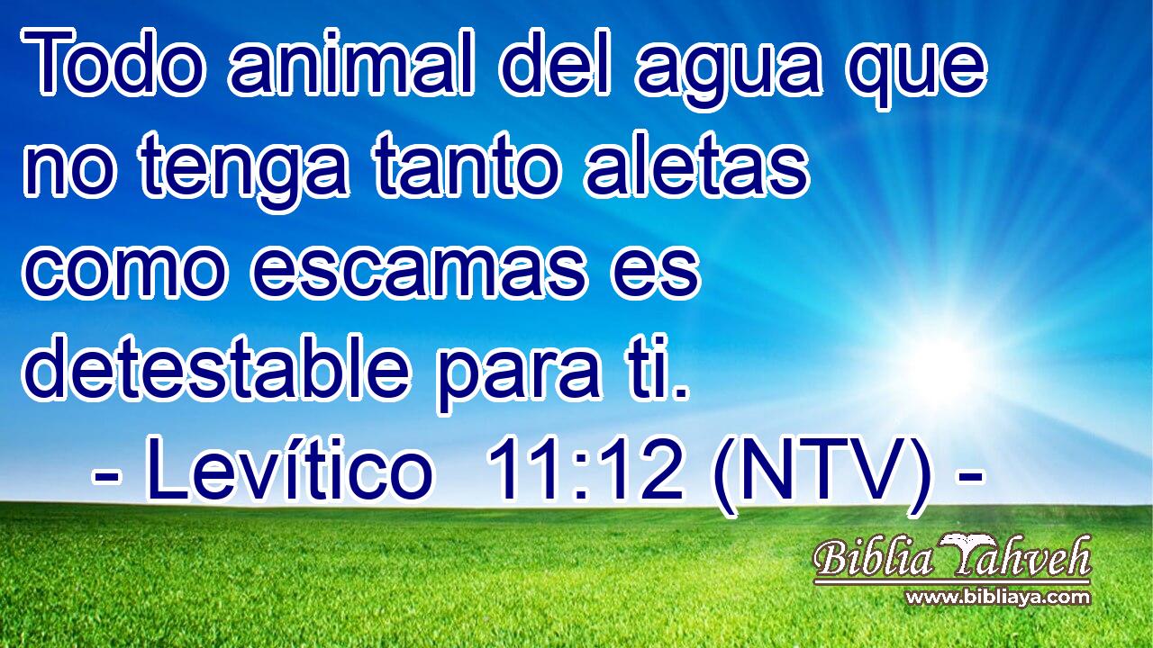 Todo animal del agua que no tenga tanto aletas como escamas es detestable para ti.