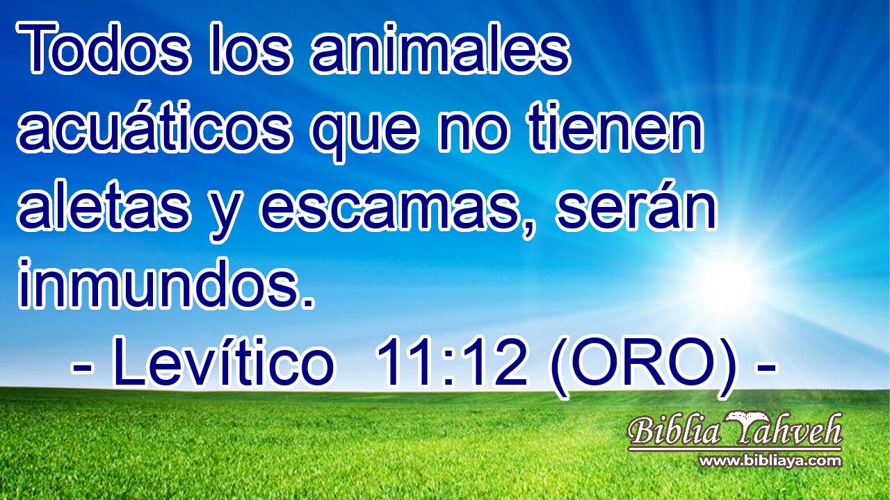  Todos los animales acuáticos que no tienen aletas y escamas, serán inmundos. 
