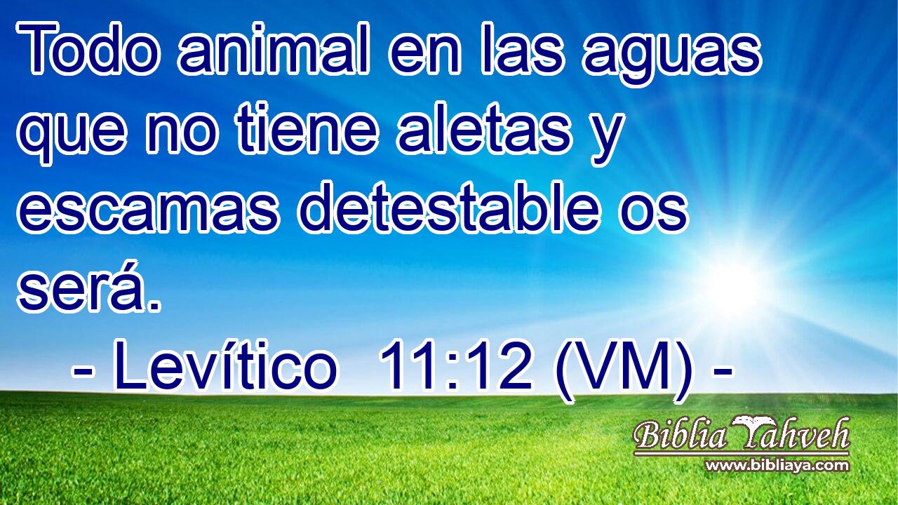  Todo animal en las aguas que no tiene aletas y escamas detestable os será. 