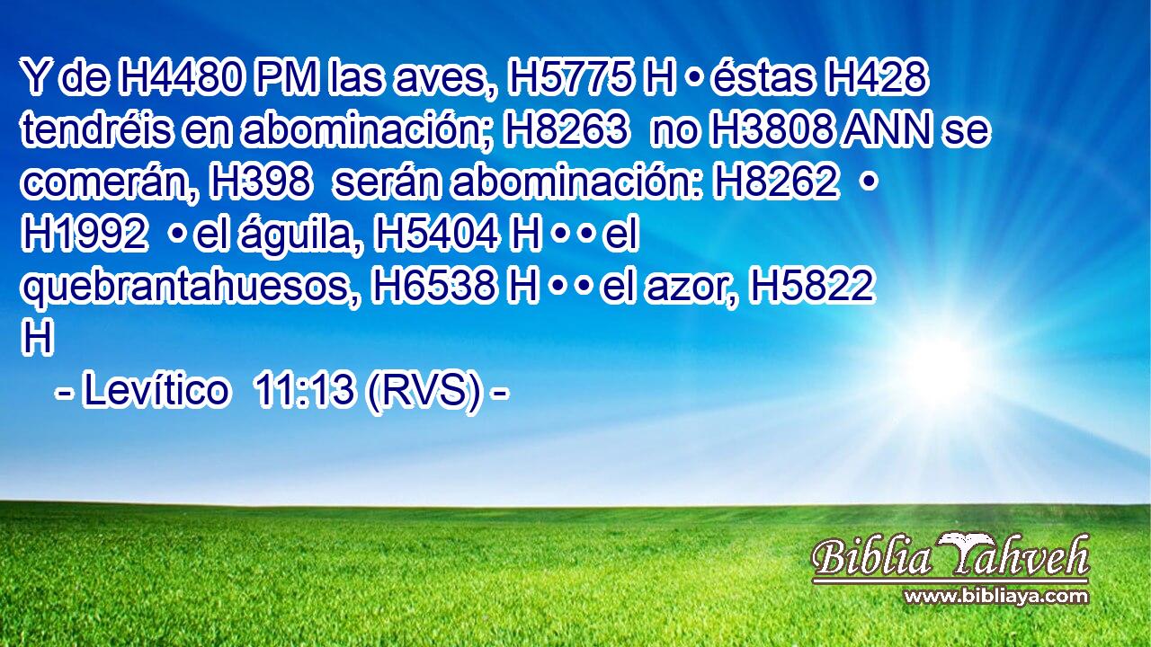 Y de H4480 PM las aves, H5775 H • éstas H428  tendréis en abominación; H8263  no H3808 ANN se comerán, H398  serán abominación: H8262  • H1992  • el águila, H5404 H • • el quebrantahuesos, H6538 H • • el azor, H5822 H 