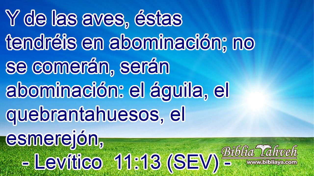 Y de las aves, éstas tendréis en abominación; no se comerán, serán abominación: el águila, el quebrantahuesos, el esmerejón,