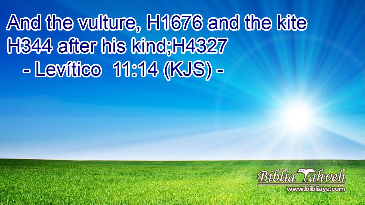 And the vulture, H1676 and the kite H344 after his kind;H4327