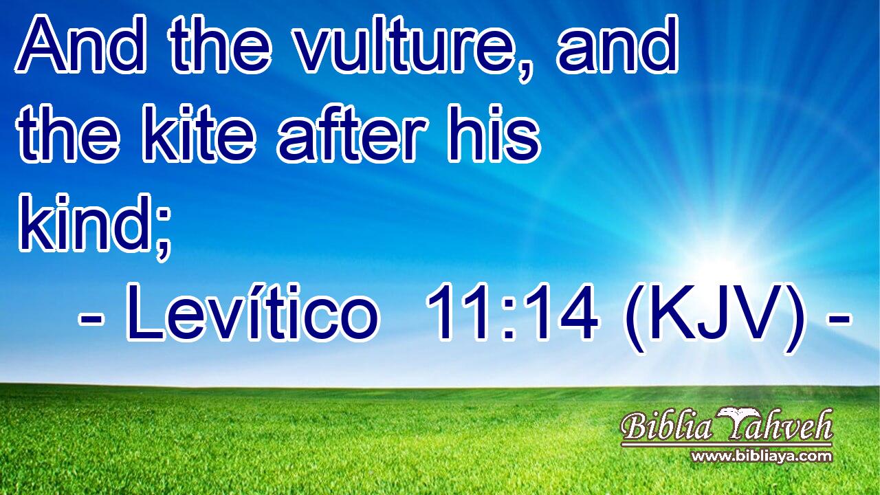And the vulture, and the kite after his kind;