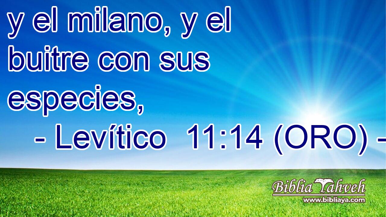  y el milano, y el buitre con sus especies, 
