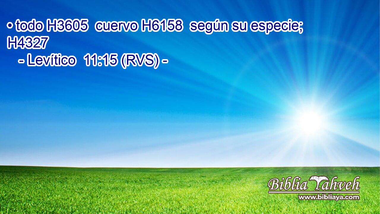 • todo H3605  cuervo H6158  según su especie; H4327  
