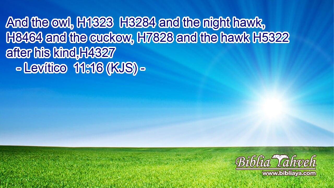And the owl, H1323  H3284 and the night hawk, H8464 and the cuckow, H7828 and the hawk H5322 after his kind,H4327