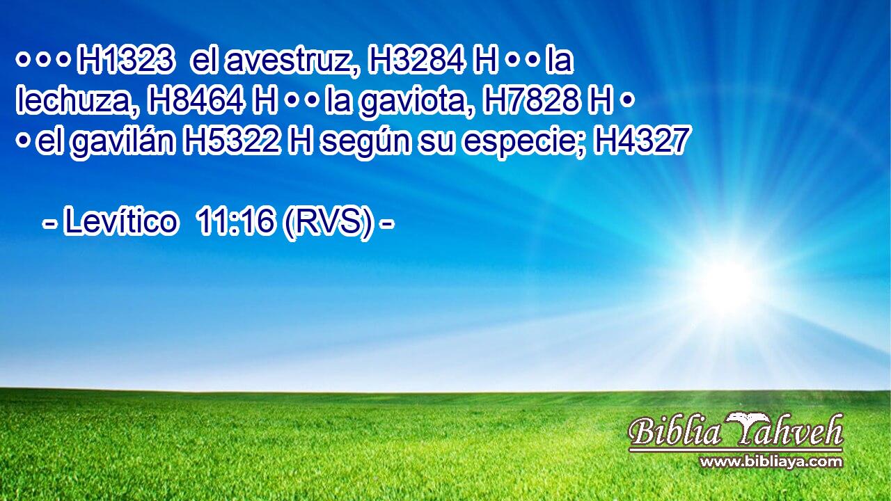 • • • H1323  el avestruz, H3284 H • • la lechuza, H8464 H • • la gaviota, H7828 H • • el gavilán H5322 H según su especie; H4327  