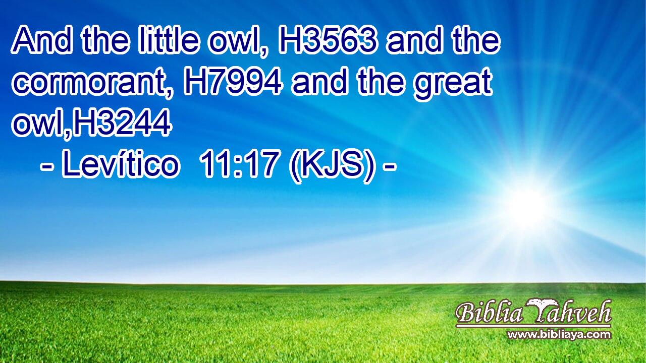 And the little owl, H3563 and the cormorant, H7994 and the great owl,H3244