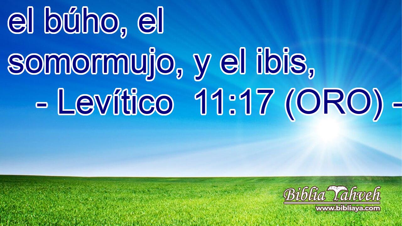  el búho, el somormujo, y el ibis, 