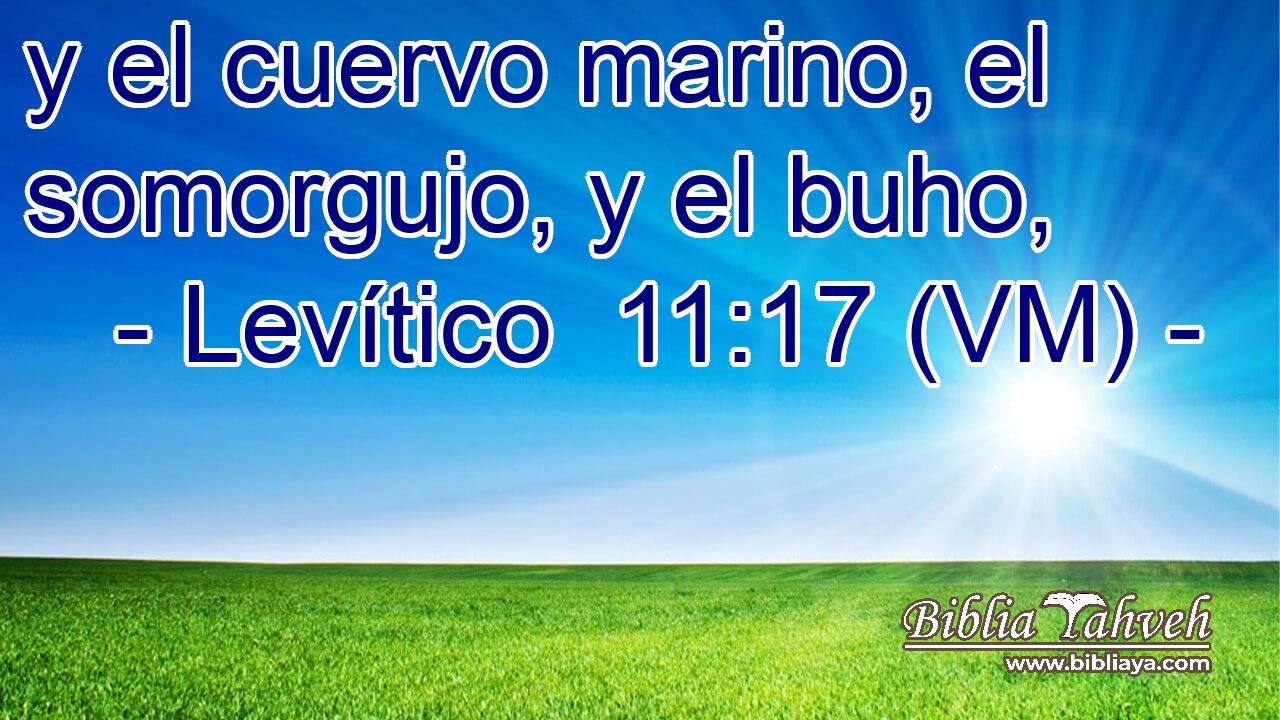  y el cuervo marino, el somorgujo, y el buho, 