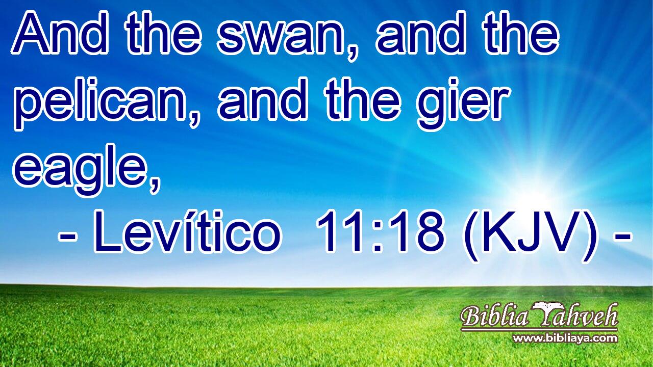 And the swan, and the pelican, and the gier eagle,
