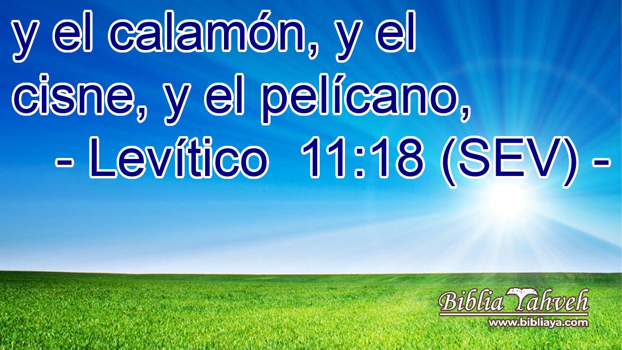 y el calamón, y el cisne, y el pelícano,